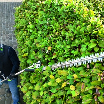 EGO MHCC1002E пила для ветвей, аккумуляторные ножницы, аккумулятор 54 В, СТРЕЛА