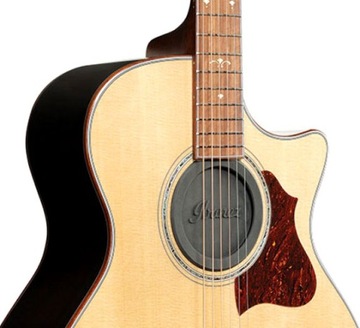 Крышка звукового отверстия Ibanez ISC1