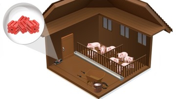 ЯД ДЛЯ МЫШЕЙ КРЫС ГРЫЗУНОВ РАТИМОР МАЛЕНЬКИЙ КРАСНЫЙ ДЕТЕНОК 5КГ