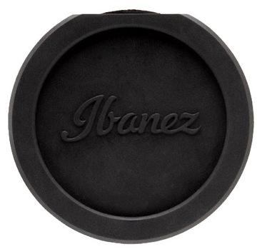 Крышка звукового отверстия Ibanez ISC1