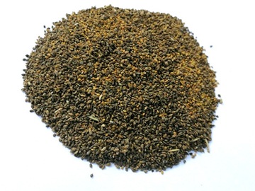Nostrzyk Biały 10KG