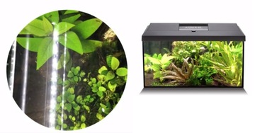 AQUAEL LEDDY DAY&NIGHT 75 LED АКВАРИУМ 105л