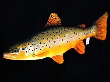 Maskotka Ryba Pstrąg Potokowy - 62cm