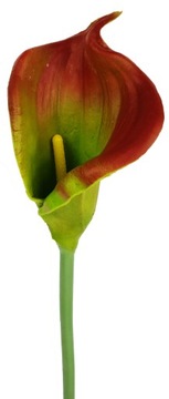 KALIA CALLA GUMOWA 67 cm KWIAT GUMOWY