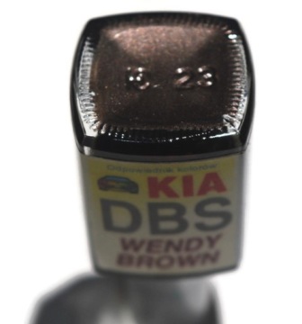 СРЕДСТВО ДЛЯ УДАЛЕНИЯ ЦАРАПИН С ЛАКА АВТОМОБИЛЯ KIA DBS WENDY BROWN 10 МЛ ARA