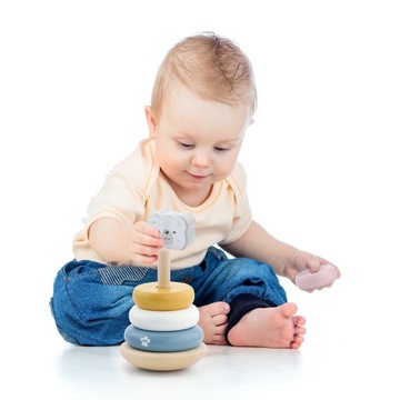 Viga PolarB Пирамида Сортировщик плюшевых мишек Головоломки Наука