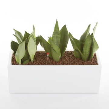 Белый прямоугольный горшок Mini Kube 50x18/18 см