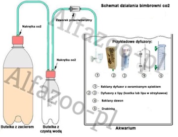Midi Bimbrownia: набор с крышкой для CO2 и диффузором GW24