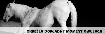 DRAMIŃSKI EDC2 детектор эструса для коров и кобыл