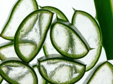 THE BODY SHOP Алоэ Ухаживающий шариковый дезодорант DEO