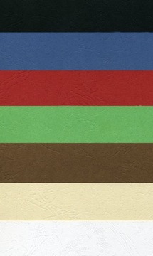 Обложки в чёрном переплете Argo Delta, 100 шт.