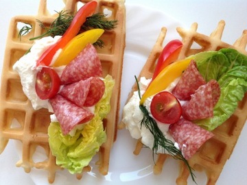 Вафельница 301.4