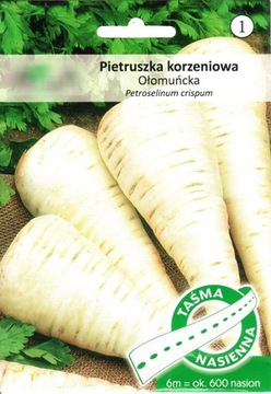 PIETRUSZKA OŁOMUŃCKA KORZEŃ NASIONA NA TAŚMIE 6m