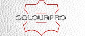 COLOURPRO КРАСКА ДЛЯ ОБУВИ КОЖАНАЯ СЕРЕБРЯНАЯ 30мл
