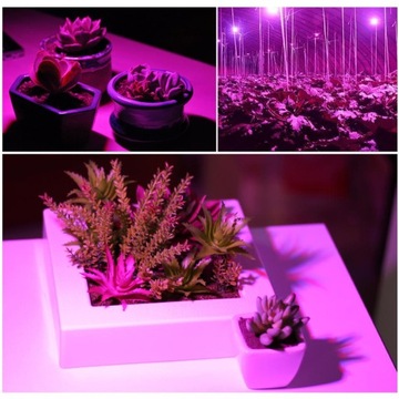 GROWBOX ЧЕТЫРЕХСВЕТОДИОДНАЯ ЛАМПА ДЛЯ ВЫРАЩИВАНИЯ РАСТЕНИЙ 40ВТ