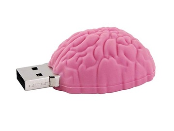 PENDRIVE Mózg Róż Operacja Rozum Głowa USB 32GB