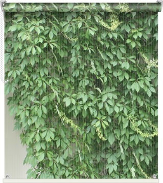 rolety na BALKON taras okno ogród WYMIARY 102x150