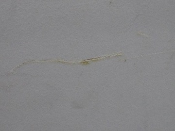 MITSUBISHI PAJERO III 99-06 5D ПОТОЛОК