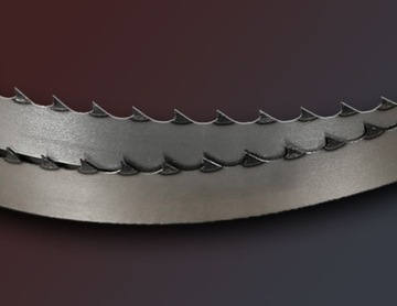 ЛЕНТОЧНАЯ ПИЛА ДЛЯ ЛЕСОПИЛЫ 35х1,1х4000 РОХ