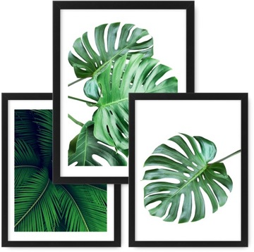Zestaw 3 obrazki A3, plakaty, MONSTERA ramka ikea