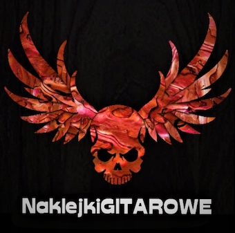 Наклейки на корпус гитары - Winged Skull CP