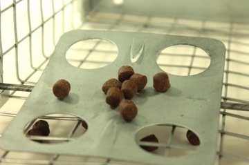 живая ловушка ловушка для крыс грызунов большая ловушка