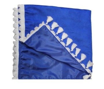 ШТОРА ДЛЯ ГРУЗОВИКА SCANIA S С 2017 ГОДА + КРЮКИ