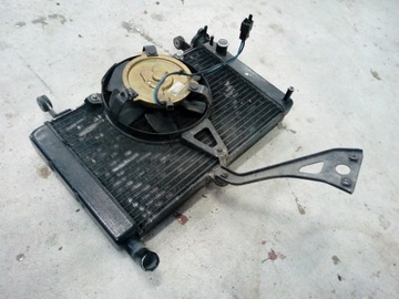 YAMAHA YZF 600 THUNDERCAT ВОДЯНОЙ ВЕНТИЛЯТОР РАДИАТОРА