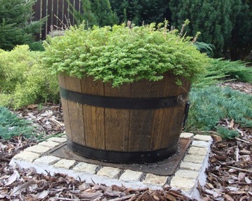 БОЛЬШОЙ САДОВЫЙ ЦВЕТОЧНЫЙ ГОРШОК ДЕРЕВЯННЫЙ ГОРШОК D50H31