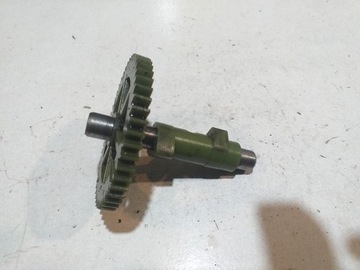 Wałek rozrządu briggs stratton 625 QUANTUM 691449