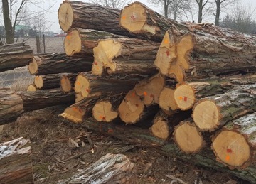 АВСТРИЙСКАЯ РАМОЧНАЯ ПИЛА WINTERSTIGER 40x1,1x4000