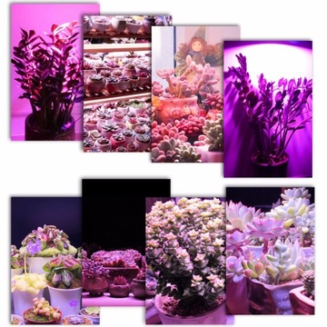 СВЕТОДИОДНАЯ ЛАМПОЧКА ДЛЯ ВЫРАЩИВАНИЯ РАСТЕНИЙ 40ВТ E27