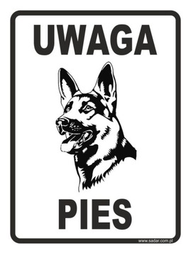 TABLICZKA Uwaga Pies ZNAK