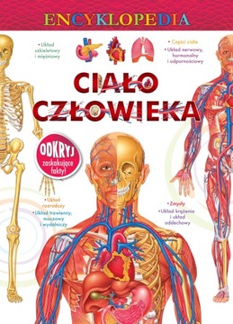 ENCYKLOPEDIA CIAŁO CZŁOWIEKA / TWARDA