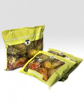 BURAK PASTEWNY BIAŁY ZENTAUR POLY NASIONA 0.5KG