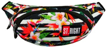 Сумка-бананка пояс ST.RIGHT WB-02 TROPICAL смужки
