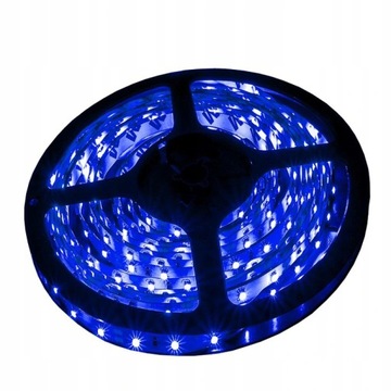 Taśma listwa 300 LED 12V 2838 niebieska 4,8W 5m