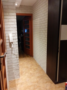 Облицовочная плитка для имитации кирпичной стены