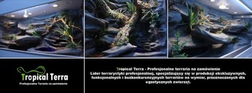 Ловец живых насекомых Сверчки Тараканы Мучный червь