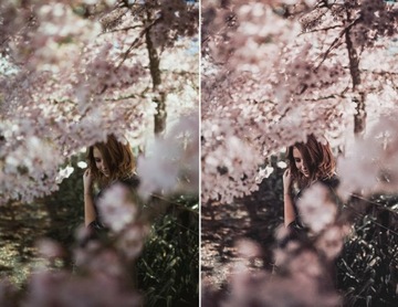 Lightroom ПРЕСЕТЫ Instagram фильтры Facebook