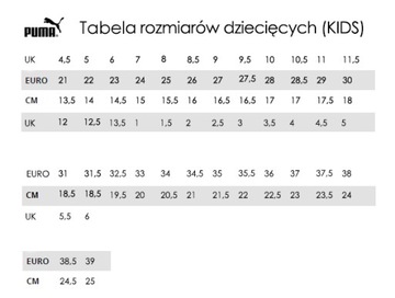 Утепленные зимние ботинки Puma Fun Racer -03 г.27