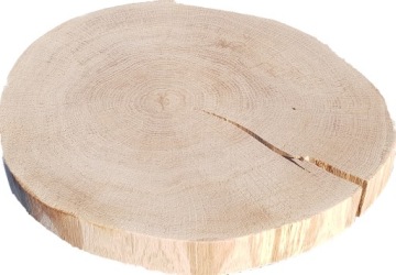 срезы древесины, срез дуба сухой шлифованный (Д-35)