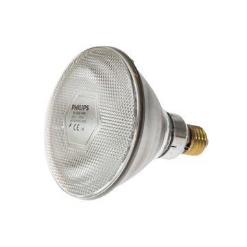 Żarówka grzejna dla piskląt PHILIPS 100W kwoka