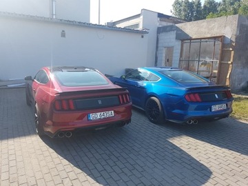 Новый диффузор с насадками GT350 для труб Mustang 4