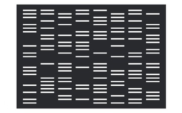 Крашеные перфорированные заборы 2х1,25 м