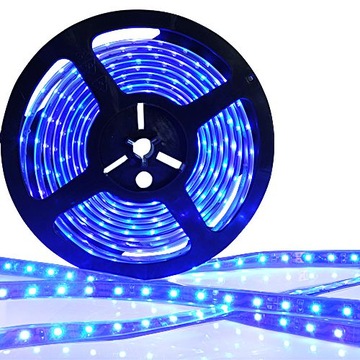 TAŚMA LISTWA LED 300SMD 5050 IP20 NIEBIESKA 1m 24V