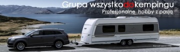 Замок оконной ручки Fendt Dometic Seitz WDK