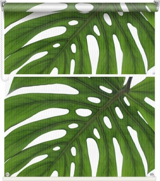 FOTOROLETA taras balkon ogród altana 132x290