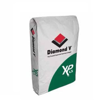 Drożdże paszowe bydło mleczne Diamond metabolity