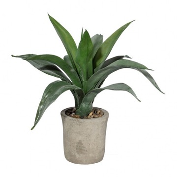 Sztuczna AGAWA 36 cm w cementowej doniczce